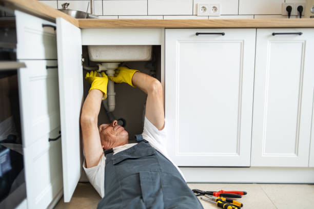  Dano, CO Plumbing Pros